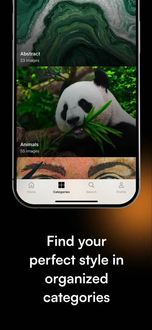 Category browser with Abstract and Animal categories, captioned "Find your perfect style in organized categories"